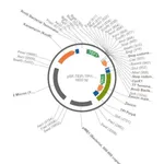 Merck PSF-TEFI-TPI1-ZEO - ZEOCIN YEAST SELECTION VECTOR