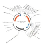 Merck PSF-MINCMV-NEO/G418 - G418 SELECTION MINIMAL CMV VECTOR