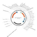 Merck PSF-MINCMV-PURO - MINIMAL CMV PUROMYCIN VECTOR