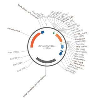 Merck PSF-MINCMV-BLAST - BLASTICIDIN SELECTION MINIMAL CMV VECTOR