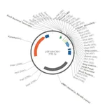 Merck PSF-MINCMV - MINIMAL CMV EXPRESSION PLASMID