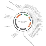 Merck PSF-TEF1-SNAPFUSION - YEAST SNAPFUSION CLONING PLASMID