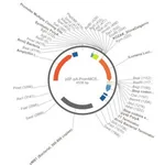 Merck PSF-PA-PROMMCS-ILUMENA - PROMOTERLESS SECRETED LUCIFERASE PLASMID