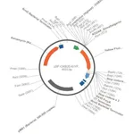 Merck PSF-OXB20-KRYFP - BACTERIAL CONSTIUTIVE YFP EXPRESSION PLASMID