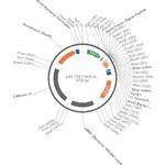 Merck PSF-TEF1-NH2-A-FACTOR SP - ALPHA FACTOR SECRETION PLASMID