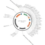 Merck PSF-TEF1-NH2-INTS - INVERTASE SECRETION PLASMID