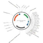 Merck PSF-CMV-NH2-CMYC-EKT-NCOI - N-TERMINAL C-MYC PLASMID