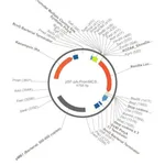 Merck PSF-PA-PROMMCS-RLUC - NO PROMOTER (MCS) RENILLA PLASMID