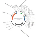 Merck PSF-OXB20-COOH-THR-10HIS - C-TERMINAL 10HIS TAG BACTERIAL PLASMID