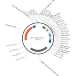 Merck PSF-OXB20-NH2-OMPA-FLAG-EKT - OMPA SECRETION AND FLAG TAG PLASMID