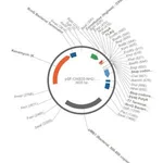 Merck PSF-OXB20-NH2-OMPA-FLAG - OMPA SECRETION AND FLAG TAG PLASMID