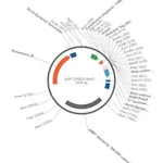 Merck PSF-OXB20-NH2-OMPA-6HIS - OMPA SECRETION AND 6 HIS TAG PLASMID