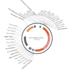 Merck PSF-OXB20-COOH-3C-BETAGAL-6HIS - C-TERMINAL 6 HIS AND BETA GAL DUAL TAG BACTERIAL PLASMID