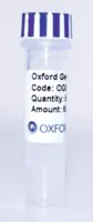 Merck PSF-CMV-PURO-COOH-EKT-CMYC - C-TERMINAL CMYC TAG MAMMALIAN PLASMID