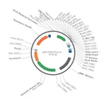 Merck PSF-CMV-PURO-COOH-CMYC - C-TERMINAL C-MYC TAG MAMMALIAN PLASMID