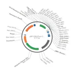 Merck PSF-CMV-PURO-COOH-HA - C-TERMINAL HA TAG MAMMALIAN PLASMID