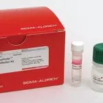 Merck NeuroPorter Transfection Kit