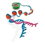 Merck EZ-Magna ChIP A - Chromatin Immunoprecipitation Kit