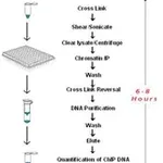 Merck Imprint Chromatin Immunoprecipitation Kit