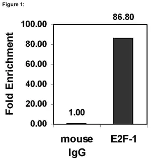 Merck ChIPAb+ E2F-1 - ChIP Validated Antibody and Primer Set