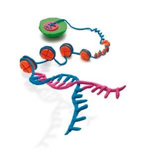 Merck EZ-Zyme Chromatin Prep Kit