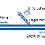 Merck AccuChIP Trimethyl-Histone H3 (Lys36) Chromatin Immunoprecipitation Internal Control