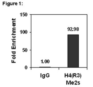 Merck ChIPAb+ Dimethyl-Histone H4 (Arg3) Symmetric - ChIP Validated Antibody and Primer Set