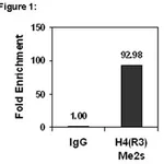 Merck ChIPAb+ Dimethyl-Histone H4 (Arg3) Symmetric - ChIP Validated Antibody and Primer Set