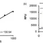Merck HAT4 ACTIVITY FLUOROMETRIC ASSAY KIT