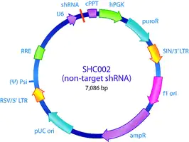 Merck MISSION pLKO.1-puro Non-Mammalian shRNA Control Plasmid DNA