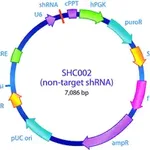 Merck MISSION pLKO.1-puro Non-Mammalian shRNA Control Plasmid DNA