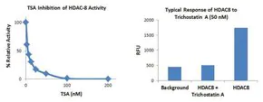 Merck Histone Deacetylase 8 (HDAC8) Inhibitor Screening Kit
