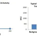 Merck Histone Deacetylase 8 (HDAC8) Inhibitor Screening Kit