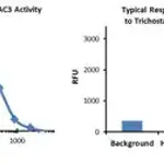Merck Histone Deacetylase 3 (HDAC3) Inhibitor Screening Kit