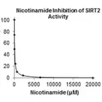 Merck Sirtuin 2 (SIRT2) Inhibitor Screening Assay Kit