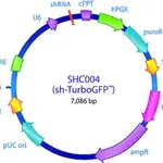 Merck MISSION pLKO.1-puro TurboGFP shRNA Control Transduction Particles, High Titer