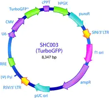 Merck MISSION pLKO.1-puro-CMV-TurboGFP Positive Control Plasmid DNA