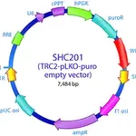 Merck MISSION TRC2 pLKO.5-puro Empty Vector Control Plasmid DNA