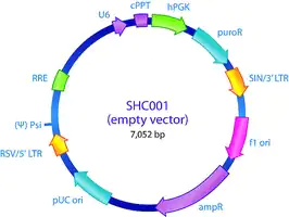 Merck MISSION pLKO.1-puro Empty Vector Control Plasmid DNA