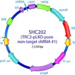 Merck MISSION TRC2 pLKO.5-puro Non-Mammalian shRNA Control Plasmid DNA