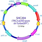 Merck MISSION TRC2 pLKO.5-puro TurboGFP shRNA Control Transduction Particles