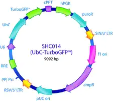 Merck MISSION pLKO.1-puro-UbC-TurboGFP Positive Control Transduction Particles
