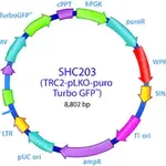 Merck MISSION TRC2 pLKO.5-puro-CMV-TurboGFP Positive Control Plasmid DNA