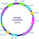 Merck MISSION pLKO.1-puro-CMV-TurboGFP Positive Control Transduction Particles, High Titer