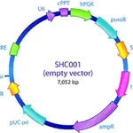 Merck MISSION pLKO.1-puro Empty Vector Control Transduction Particles, High Titer