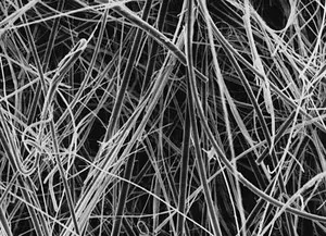 Merck Glass Fiber Filter without binder