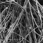 Merck Glass Fiber Filter without binder