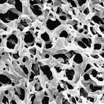 Merck Durapore Membrane Filter, 0.22 µm