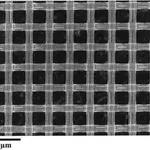 Merck Nylon Net Filter