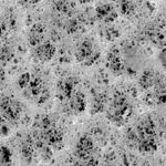 Merck PVC Membrane Filter